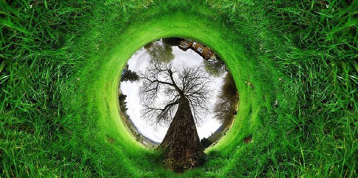 360 tunnel tree nature